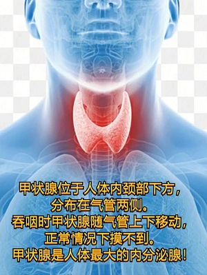 【健康科普】甲状腺癌你知多少？